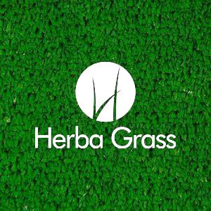 10 MM DECORATIVE GRASS